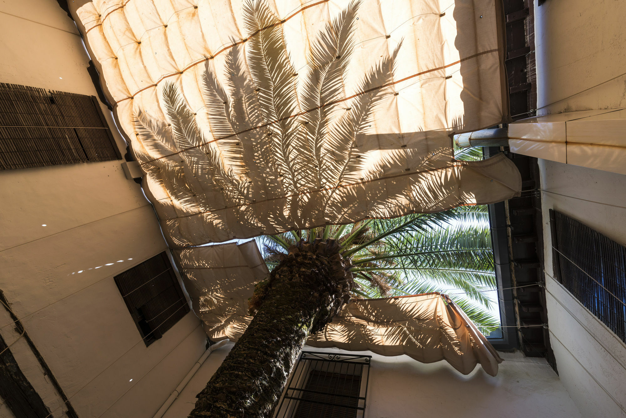 Hotel Rural Tia Pilar Αλμάγκρο Εξωτερικό φωτογραφία